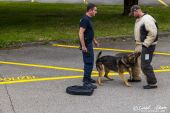 Polizeihunde_KaPo_Solothurn060.jpg