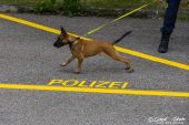 Polizeihunde_KaPo_Solothurn012.jpg