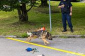 Polizeihunde_KaPo_Solothurn038.jpg