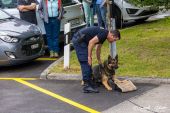 Polizeihunde_KaPo_Solothurn030.jpg