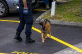Polizeihunde_KaPo_Solothurn009.jpg