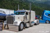 Peterbilt_359_weiss001.jpg