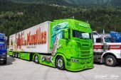 Scania_520S_V8_Mueller_Ermensee_Eidechse002.jpg
