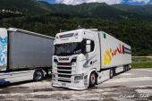 Scania_460S_Krummen_Kerzers002.jpg