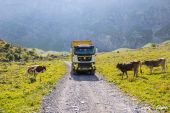 Tatra_Phoenix_530_6x6_Geisseler_Rene_AG310.jpg