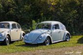 VW_Kaefer001.jpg