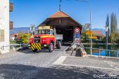 02MAN_19.321_Dillier_Bueren_aA004.jpg