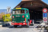02Scania_141_V8_Senn_Bueren_aA002-2.jpg