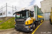 Scania_P410_Avesco_Cat.jpg